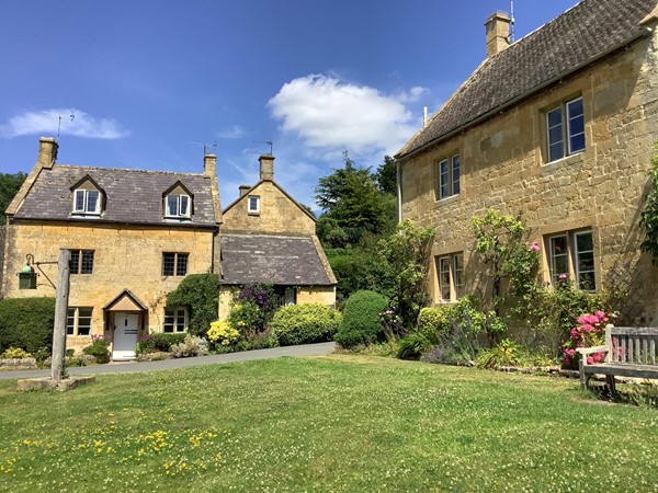 Village green