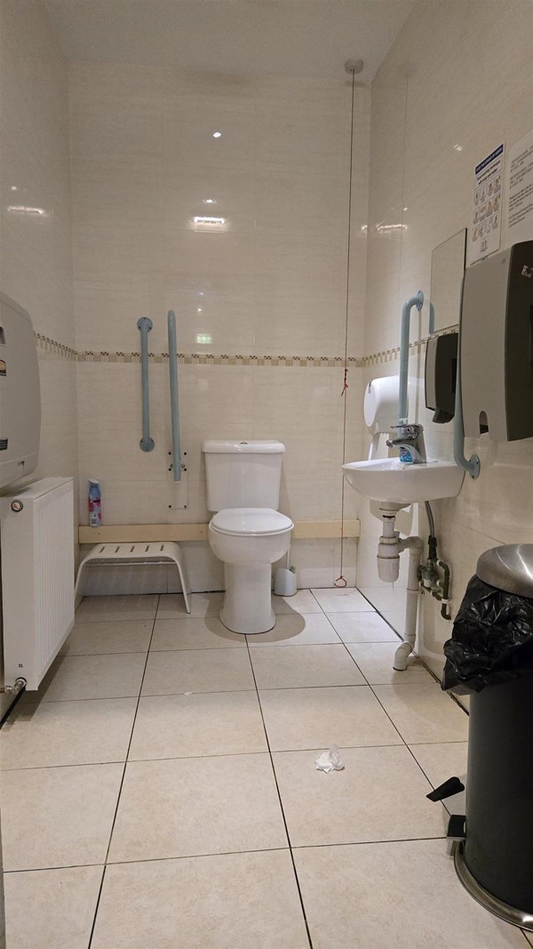 A well-lit, clean accessible toilet with light blue grab rails beside the toilet and sink. A free-hanging red cord card is visible in the corner. A changing table is mounted on the left wall, while a paper towel dispenser, sink, and toilet are lined up on the right.