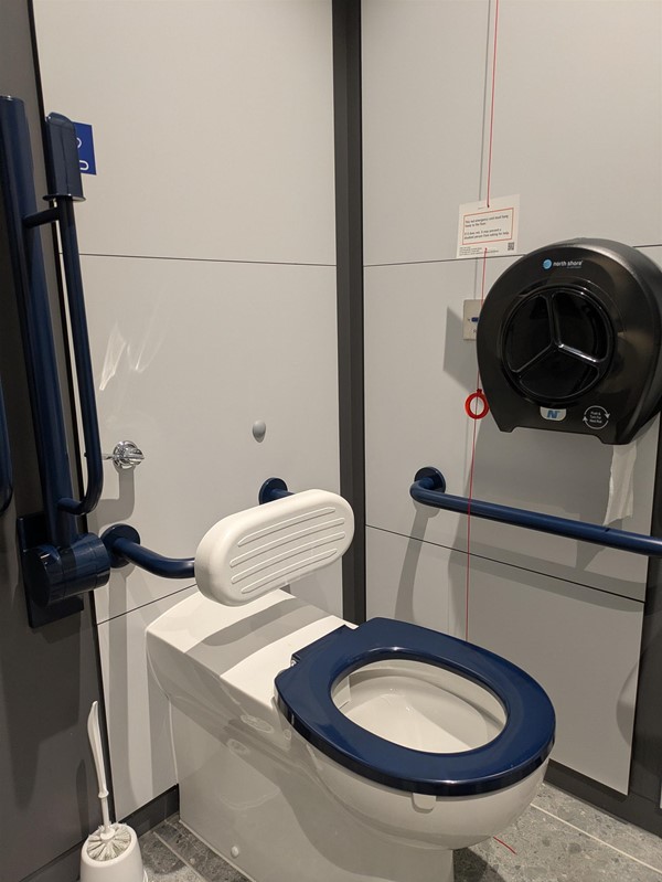 Image of accessible toilet