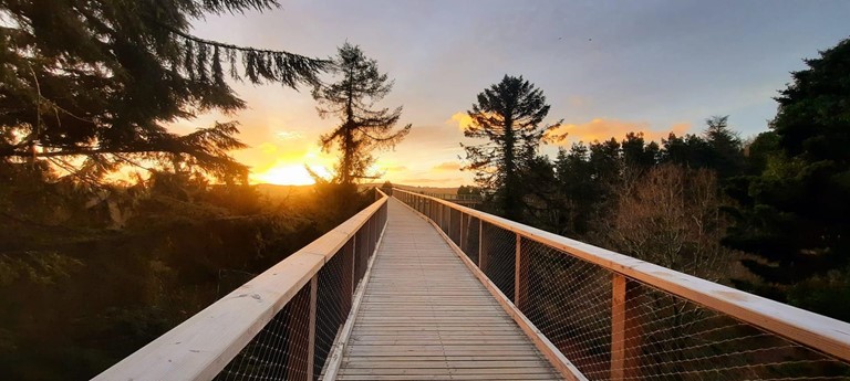 Treetop Walks Avondale