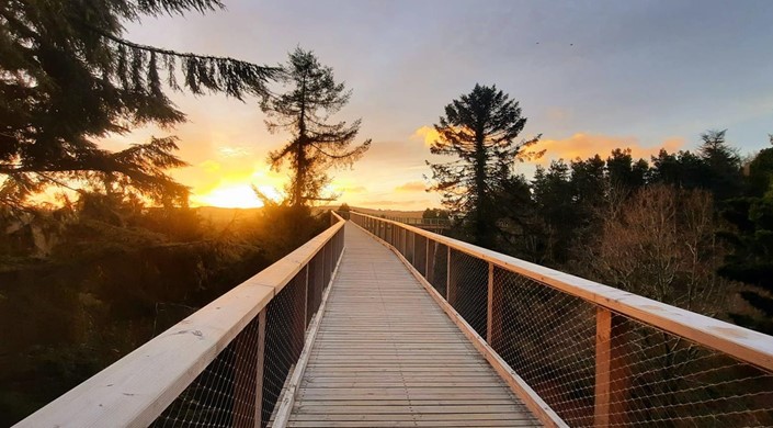 Treetop Walks Avondale