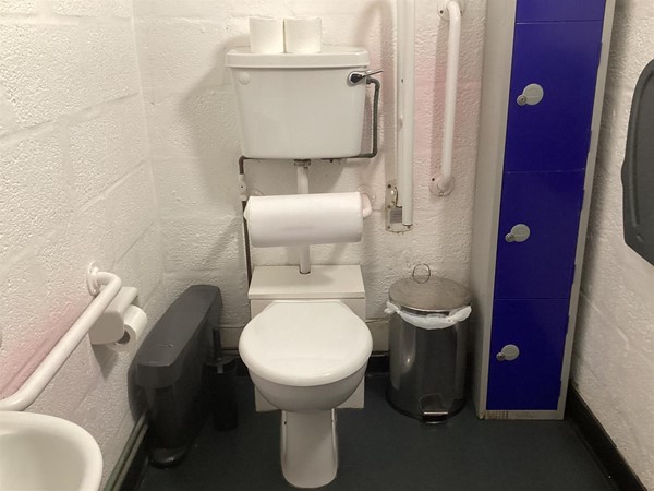 Image of a toilet and a grabrail