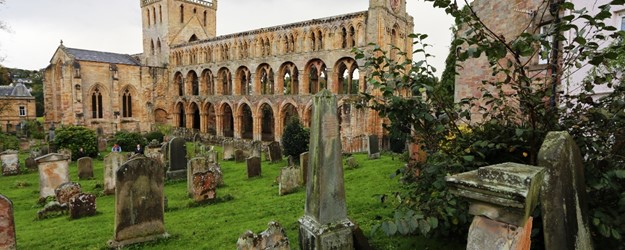 "Hands on History" Handling Box and Herb Garden Tour - Sunday 12th March 1pm - 3pm article image