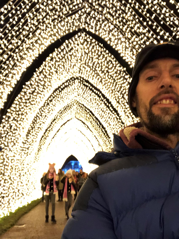 Picture of Christmas lights at Edinburgh Botanics