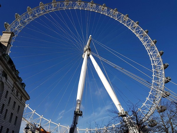 Picture of The London Eye