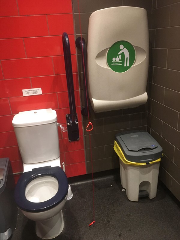 Image of the accessible toilet.