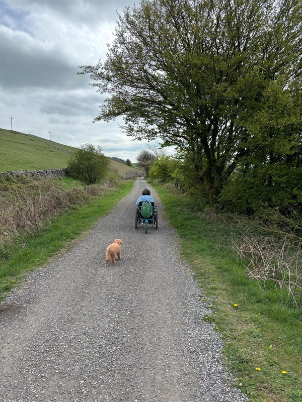 Image of person and a dog on a pathway