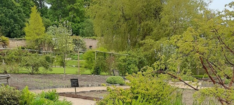 Cambo Country House and Estate