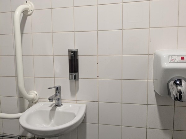 Image of grab rail and sink
