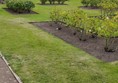 Lodge Grounds