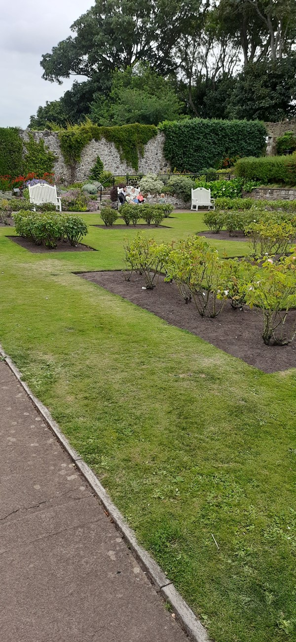 Lodge Grounds