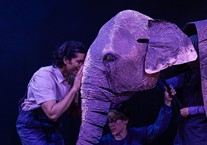 The Vanishing Elephant