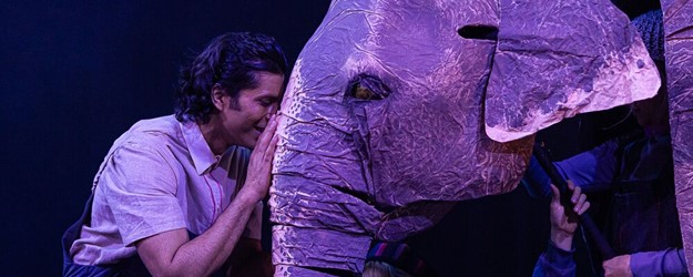 The Vanishing Elephant article image