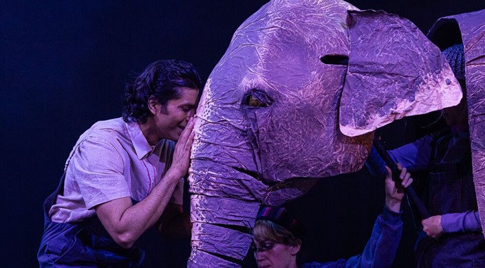 The Vanishing Elephant