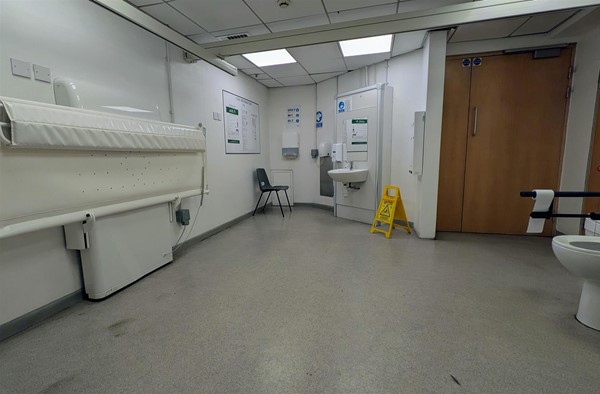Image of very large accessible toilet with height-adjustable bench