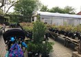 Picture of Hulme Community Garden Centre