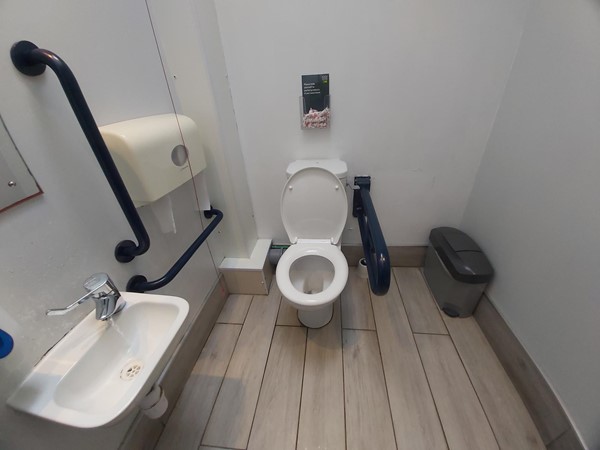 Image of a toilet and sink in a bathroom