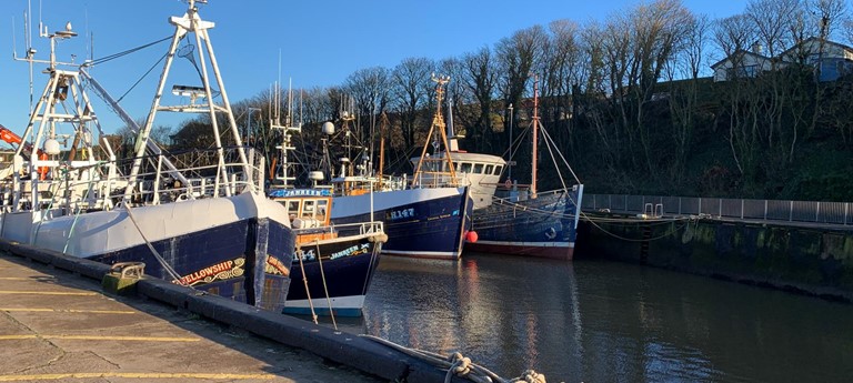 Eyemouth Harbour