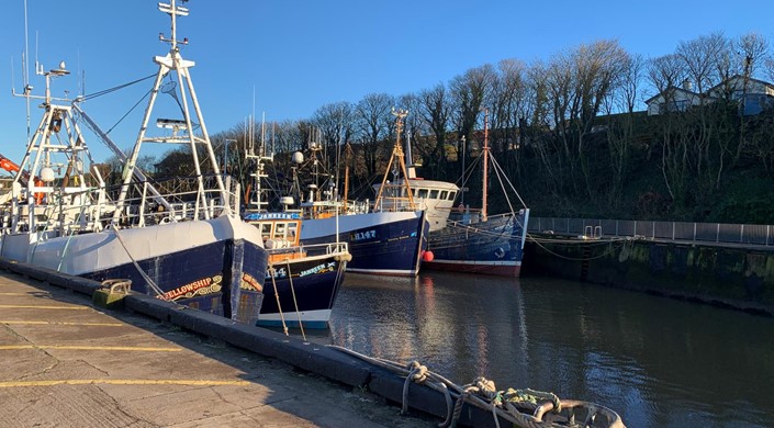 Eyemouth Harbour