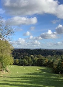 Bodenham Arboretum