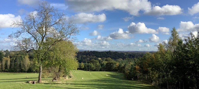 Bodenham Arboretum