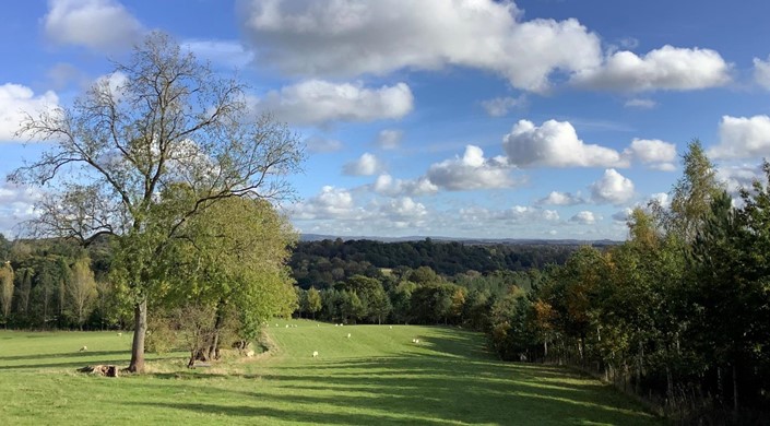 Bodenham Arboretum