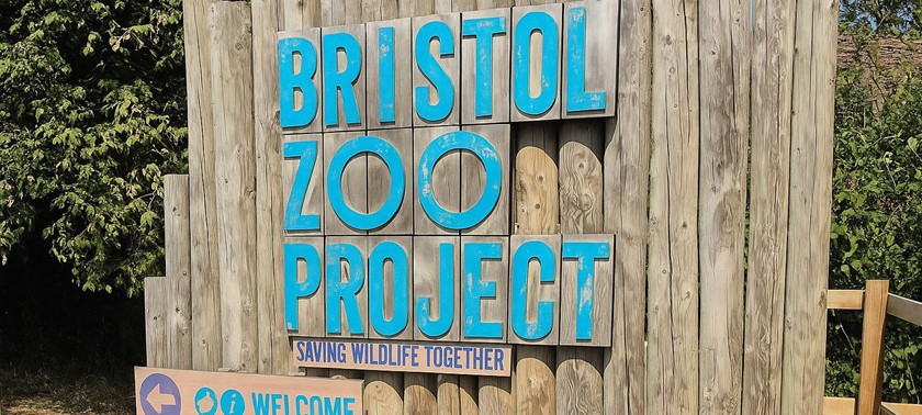 Bristol Zoo Project