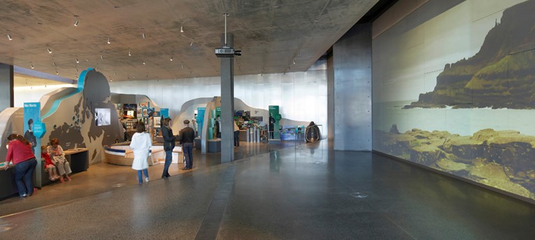 Giant's Causeway Visitor Centre