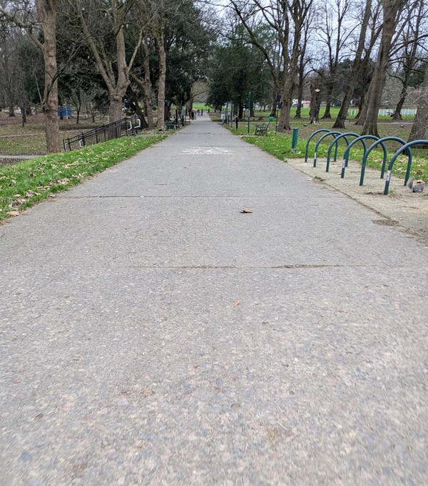 Image of tarmac path in the park