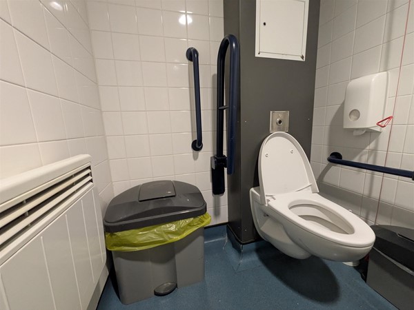 Image of accessible toilet