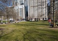 Image of grass at the park