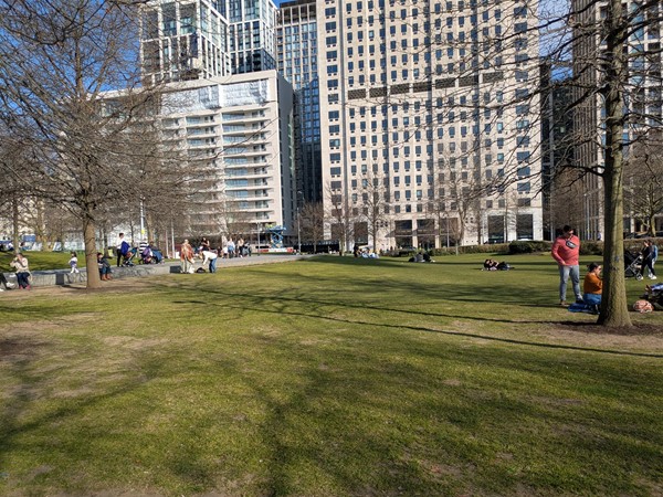 Image of grass at the park