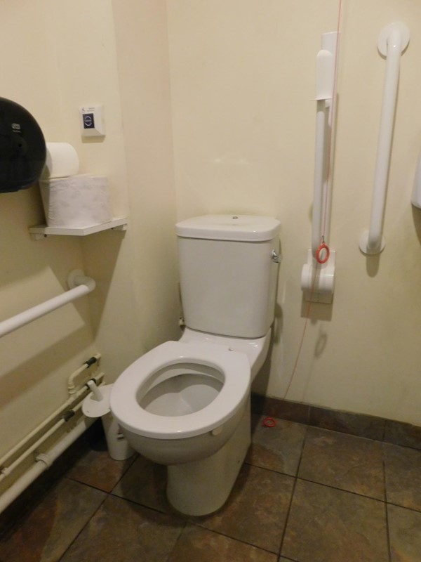 This is the accessible toilet and the Red Cord all the way to the floor