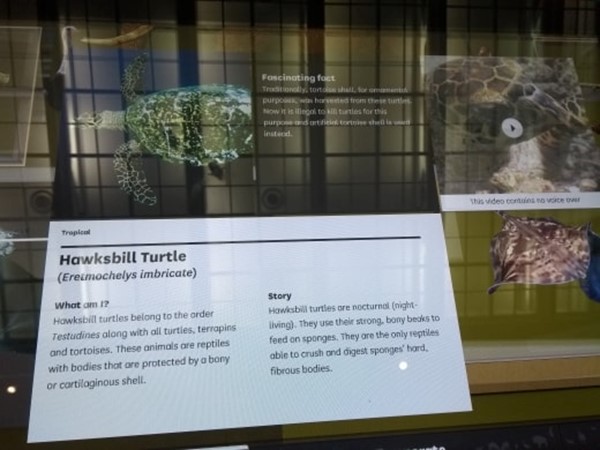 example of the interactive part of the exhibition where a finger had to be held down to view video