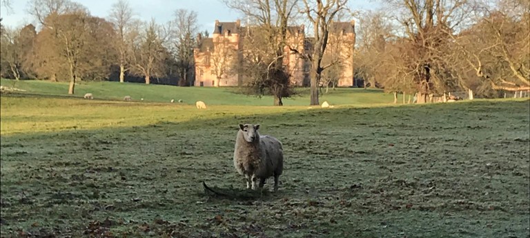 Fyvie Castle