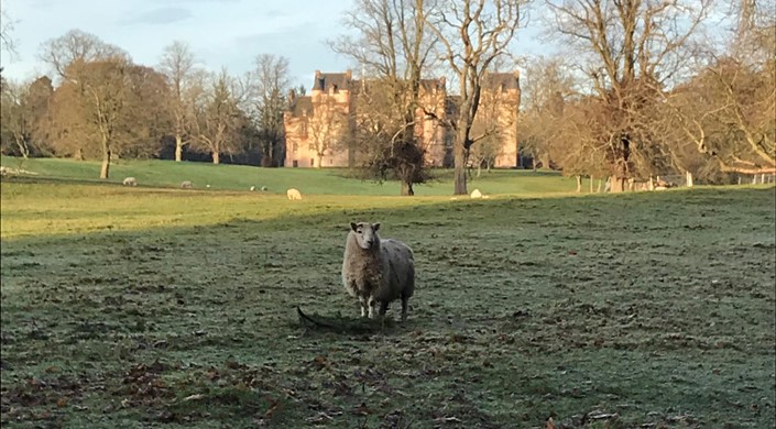 Fyvie Castle