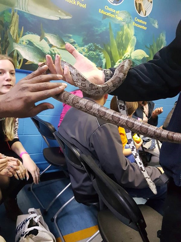 Handling the creatures actually means up close and personal