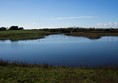 the lake