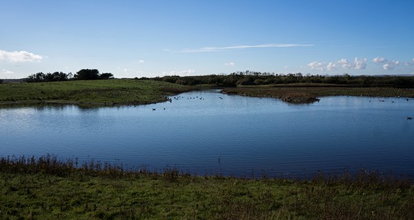 the lake