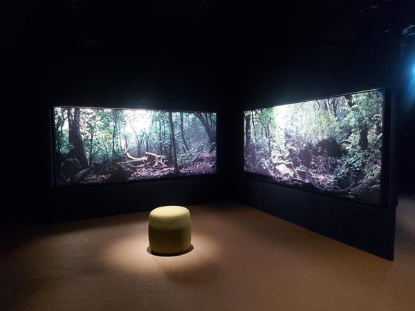 Picture of Wellcome Collection