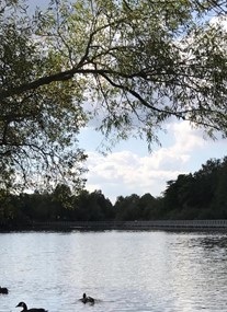 Ifield Mill Pond and Bewbush Water Gardens