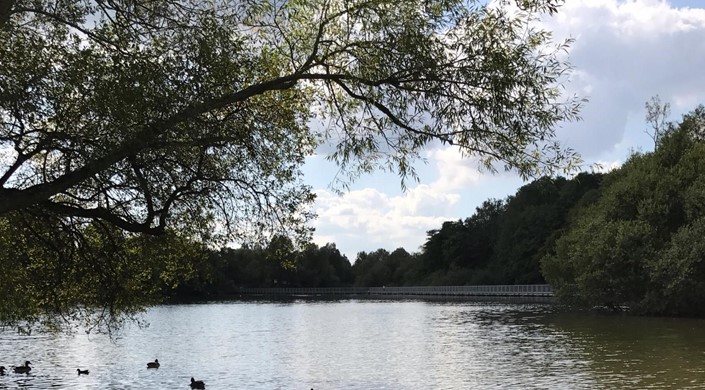 Ifield Mill Pond and Bewbush Water Gardens