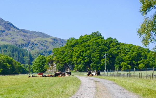 Comrie to St Fillans Walk, Comrie