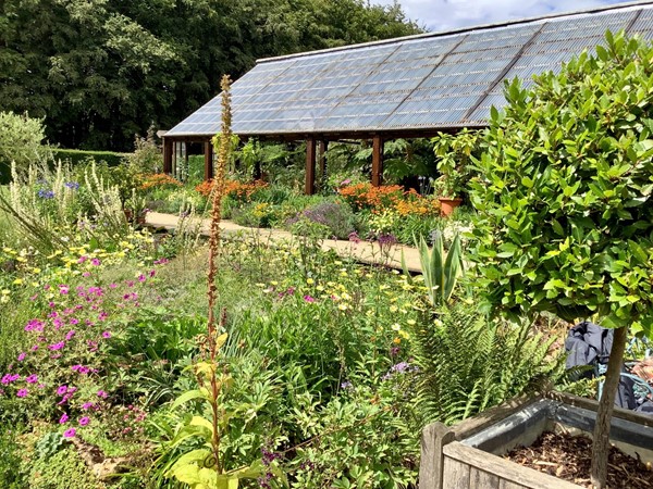 National Trust - Hidcote