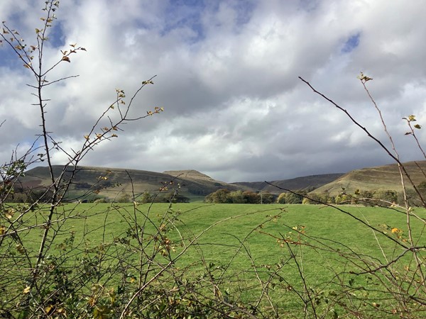 A field with hills in the background