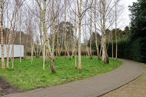 Concrete path in the quiet garden