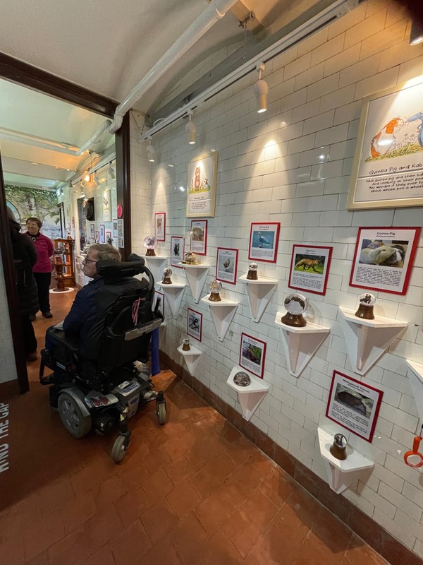 Poo display