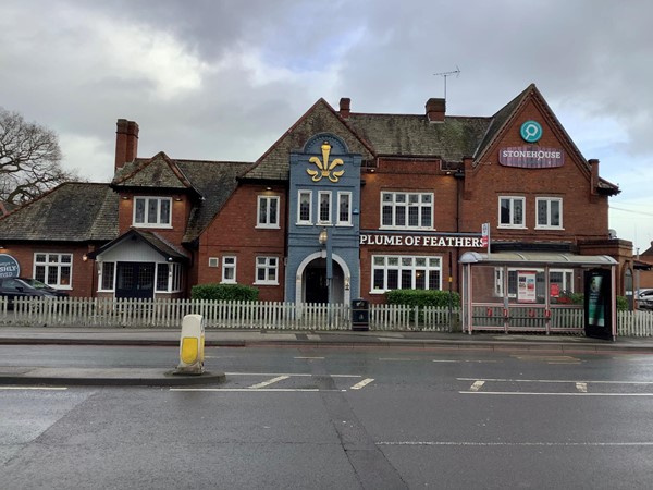 The Plume of Feathers