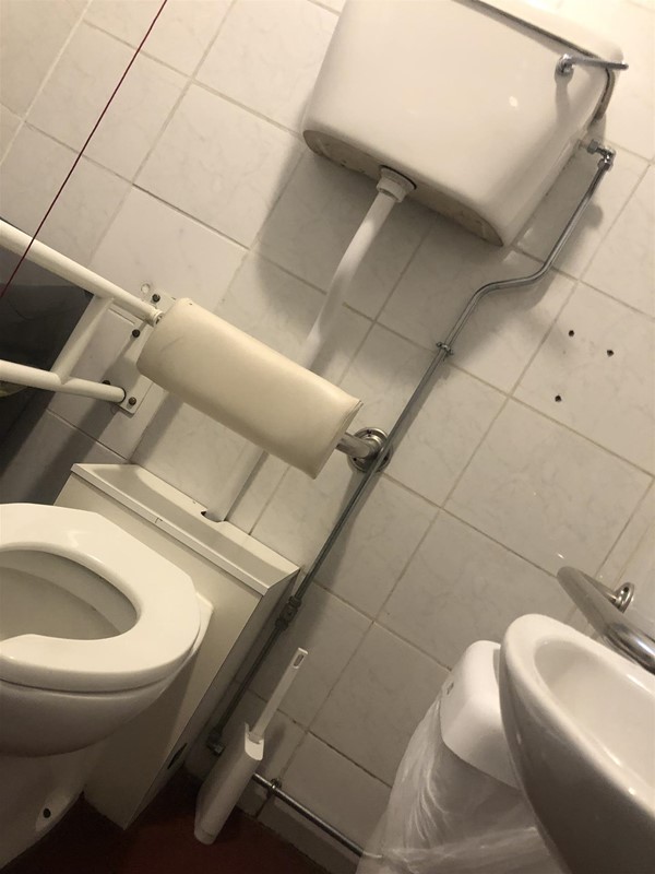 The positioning of the flush handle couldn’t be any worse. Too high and on the opposite side to the transfer space.