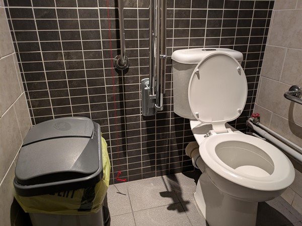 Image of a toilet and red cord